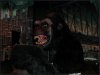 Kong bust.Jpg