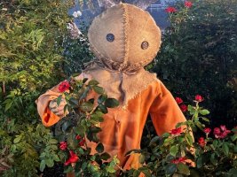 IMG_0136.jpeg