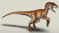 the_lost_world_jurassic_park_velociraptor_male_by_nikorex-dbyme0q.jpg