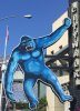 kong_CA.jpg kong_CA.jpg