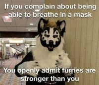 animal-if-complain-about-being-able-breathe-mask-openly-admit-furries-are-stronger-than.jpeg