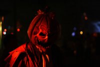 IMG_4851.jpg