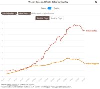 uk us covid death.JPG