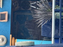 IMG_6895.jpeg