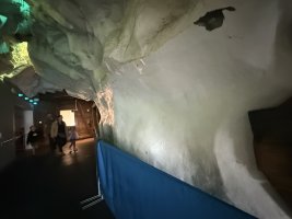 IMG_7127.jpeg