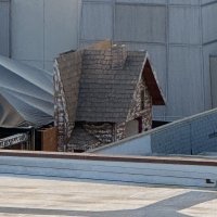 IMG_5125.jpeg
