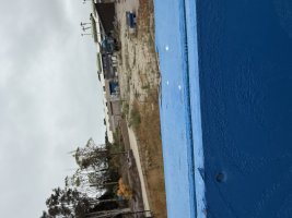 IMG_7184.jpeg