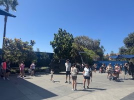 IMG_8634.jpeg