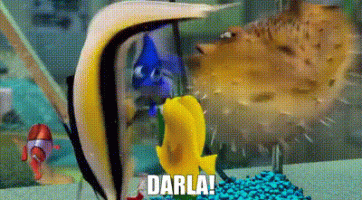 42381c7c-04d6-4d97-9d11-91dc18d77ad5_text.gif