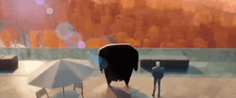 IMG_2076.gif