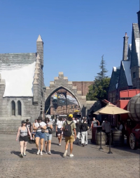 Hogsmeade.png