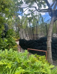 IMG_2437.jpeg
