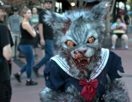 202509_hhn34_cl2.jpg