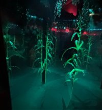 IMG_0878.jpeg