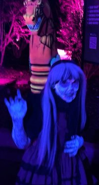 IMG_0974.jpeg