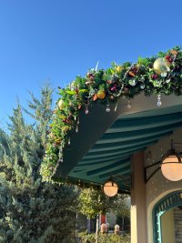 IMG_1164.jpeg