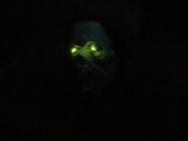 IMG_1163_Original.jpeg