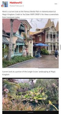 IMG_9694.jpeg