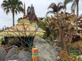 Photo Feb 16 2026, 1 06 14 PM.jpg