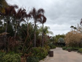 Photo Feb 16 2026, 1 19 27 PM.jpg