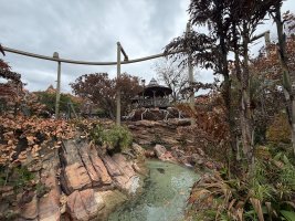 Photo Feb 16 2026, 11 31 11 AM.jpg