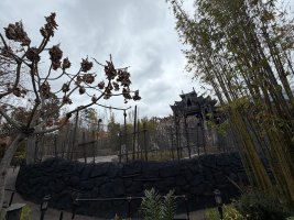 Photo Feb 16 2026, 11 32 51 AM.jpg