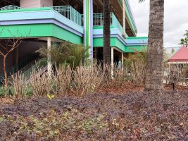 Photo Feb 16 2026, 12 09 45 PM.jpg