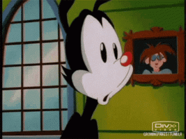 IMG_7678.gif
