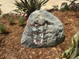 IMG_5634.jpeg