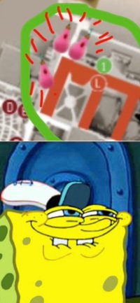 IMG_7899.jpeg