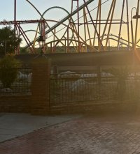 IMG_2866.jpeg