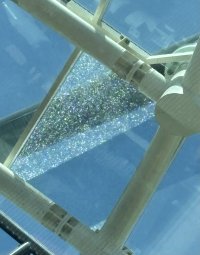 IMG_2900.jpeg