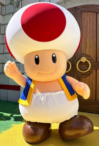 ushtoad.png