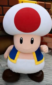 epictoad2.png