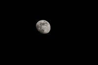 IMG_5713.jpg
