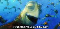 9-Finding-Nemo-quotes.gif