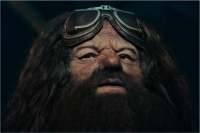 Hagrid-3.png